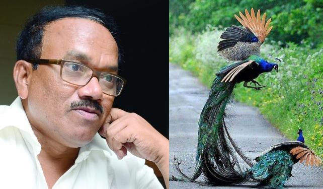 Goa CM Parsekar on peacock as vermin niharonline